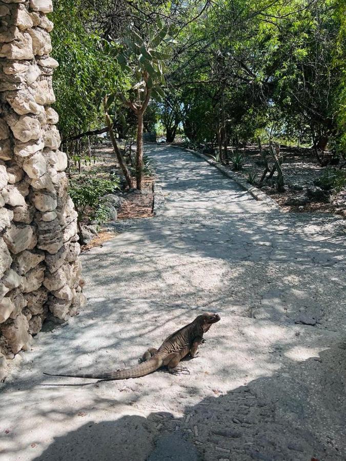 Lago Enriquillo Resort Cerro Al Medio Esterno foto